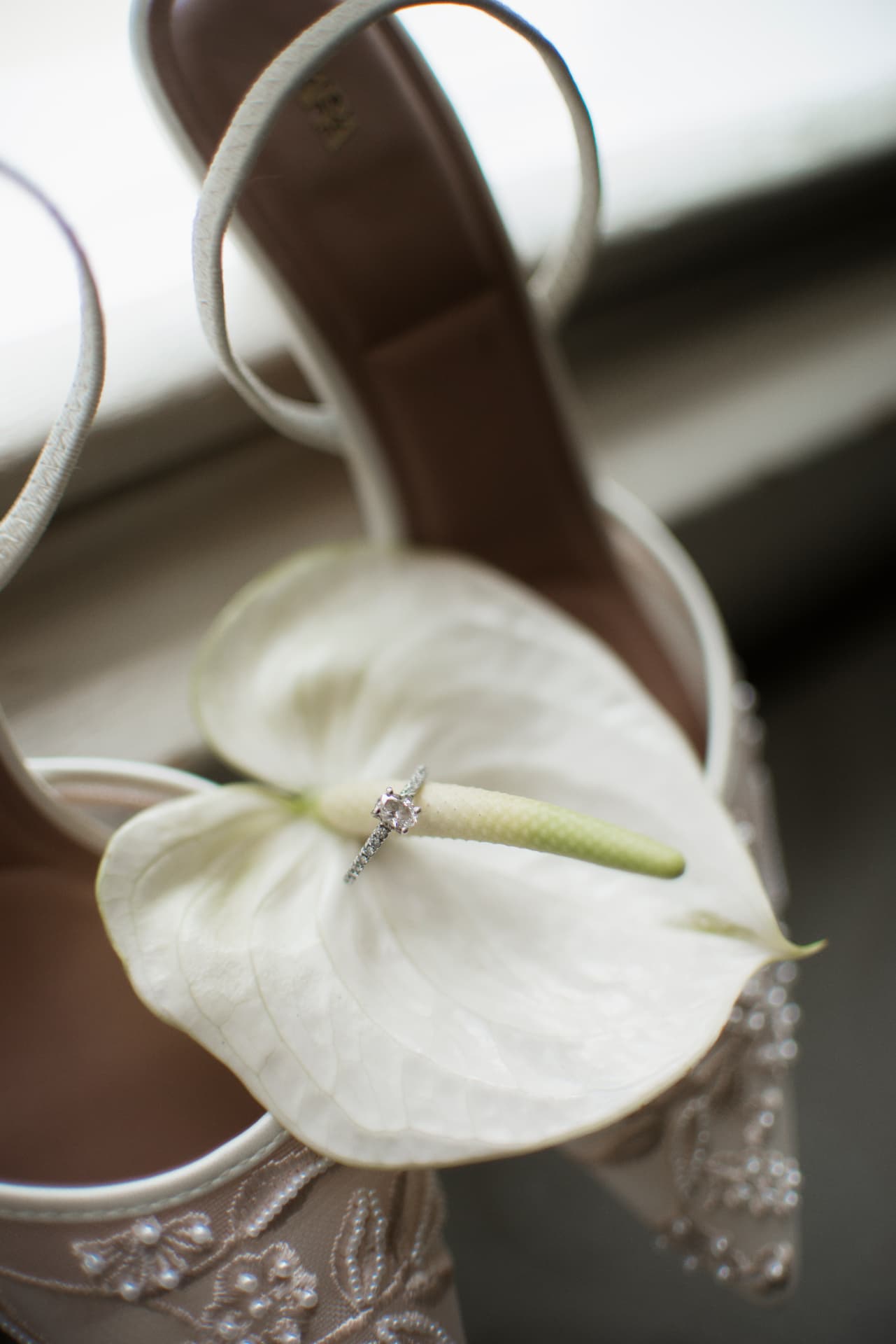 Hannah & Tom — photograph